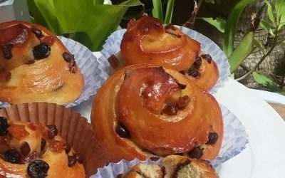 Caracolas de Frutas Confitadas Receta facíl y deliciosa