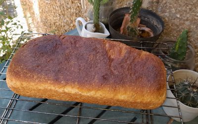 Técnicas para elaborar la receta más fácil de Pan de Molde Integral